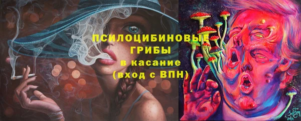 а пвп мука Няндома