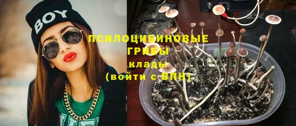 а пвп мука Няндома