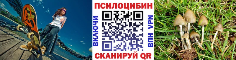купить наркотики сайты  ссылка на мегу tor  Псилоцибиновые грибы Psilocybine cubensis  Гурьевск 