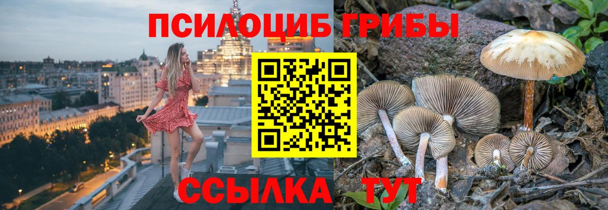 Гурьевск  Псилоцибиновые грибы ЛСД  Вход с VPN 
