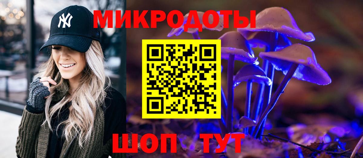 Псилоцибиновые грибы Cubensis Гурьевск